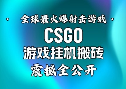 【年底大揭秘】基于全球最火爆的射击CSGO游戏挂G搬砖，日入5张+，震撼公开-泡芙局网创