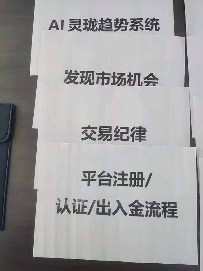 图片[3]-海外美金AI掘金项目，200U可入门槛，一天一单即可，每天1000-2000很轻松！-泡芙局网创