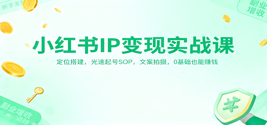 小红书IP变现实战课：定位搭建，光速起号SOP，文案拍摄，0基础也能赚钱-泡芙局网创